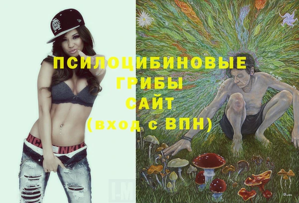 кокс Тавда